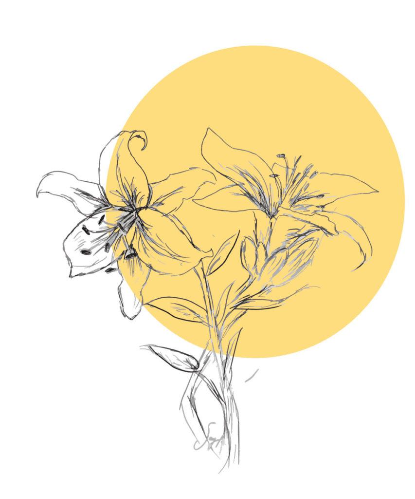 Kaksi piirrettyä liljan kukkaa ja taustalla oleva keltainen pallo