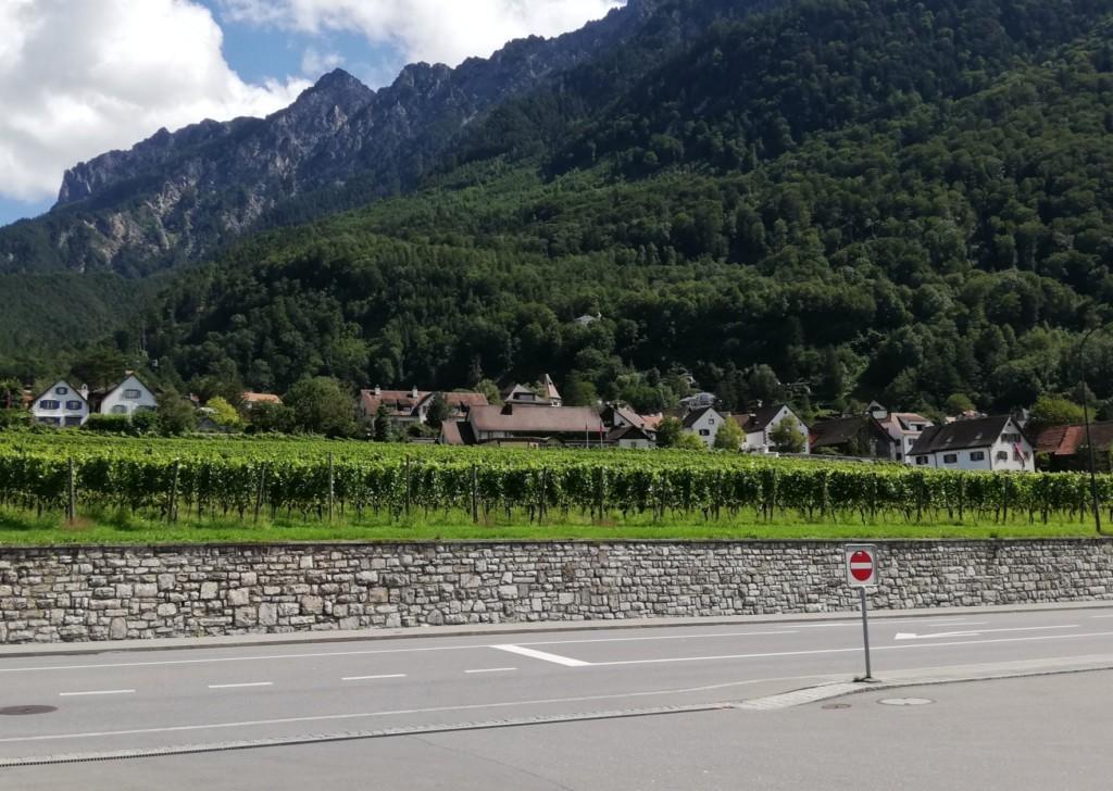 Liechtenstein, näkymä Schellenbergista. Tie, taloja, puita, vuoristo.